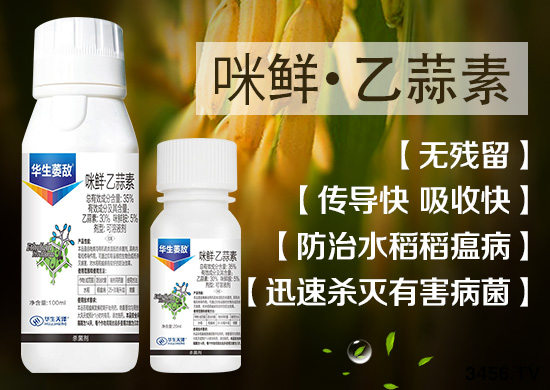 孟州上品生物科技有限公司1.jpg