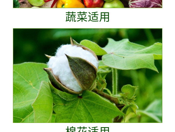 20%吡蟲·辛硫磷乳油-易地龍-諾達特