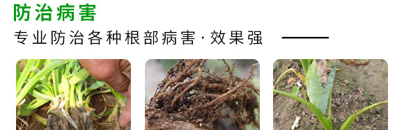 微生物菌劑（專注防治根部病害）-根本根-薩林農(nóng)業(yè)