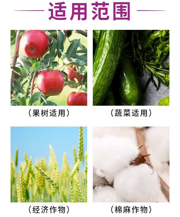 菌必?汇多丰_05.jpg