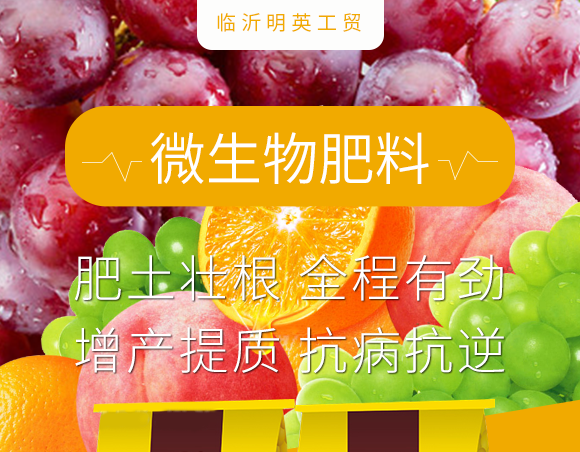 豆磷脂（复合Q?植知源_01.png