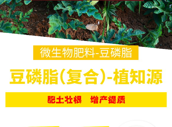 豆磷脂（复合Q?植知源_08.png