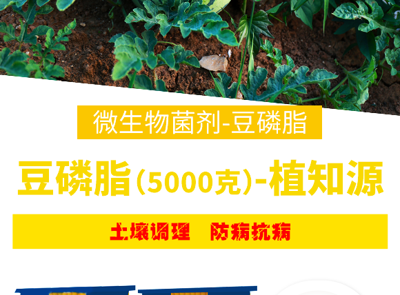 豆磷脂（5000克）-植知源_08.png