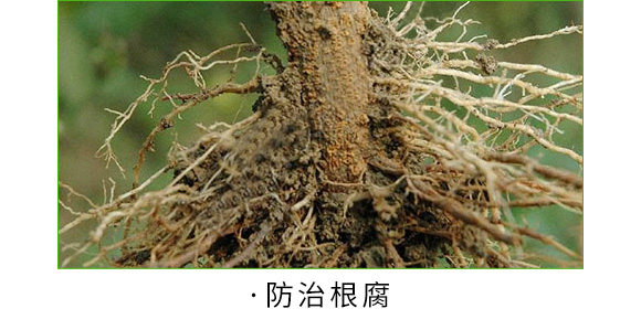 青岛易普丰生物科技有限公司2_05.jpg