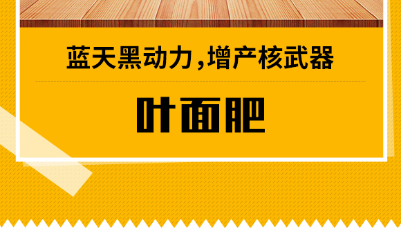 华博蓝天国际控股集团Q香港）(j)U技研发有限公司3_03.jpg