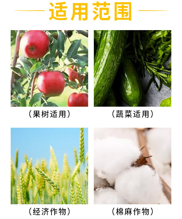 根结U虫新型防治制剂-无线_05.jpg