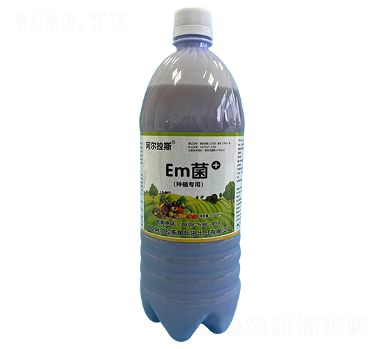 EmNֲã-˹-