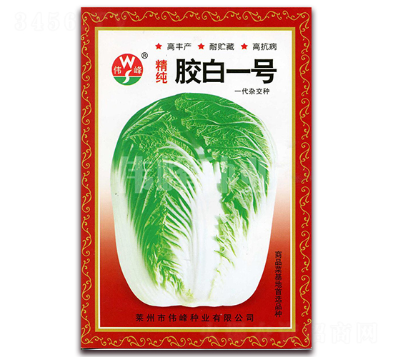 精純膠白一號(hào)-白菜種子-偉峰種業(yè)