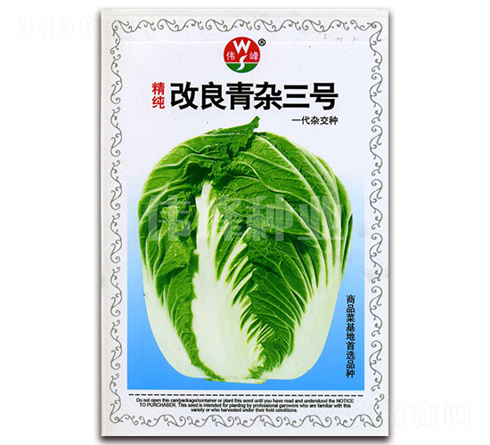 精純改良青雜三號-白菜種子-偉峰種業(yè)