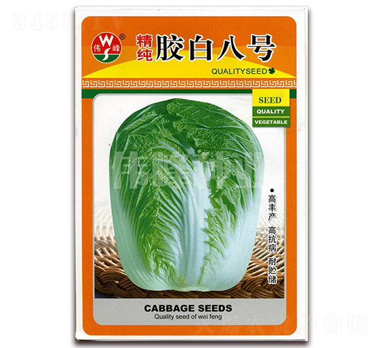 精純膠白八號(hào)-白菜種子-偉峰種業(yè)