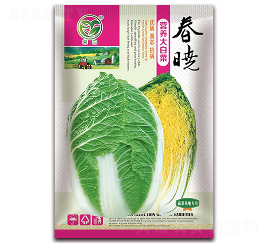 春曉營養(yǎng)大白菜-娃娃菜種子-春潤種業(yè)