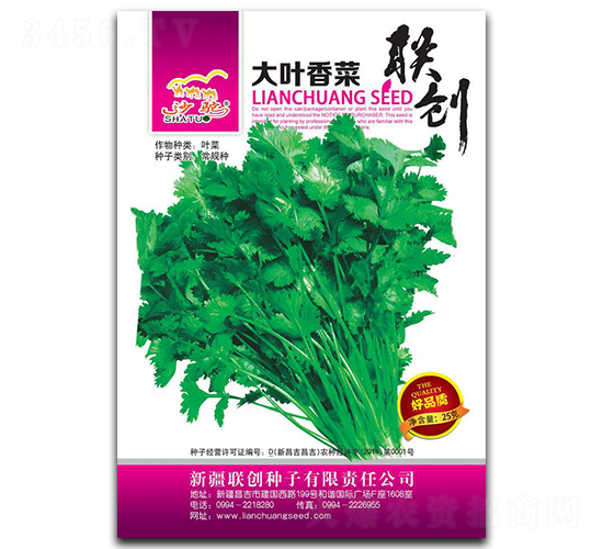 大葉香菜-香菜種子-聯(lián)創(chuàng)