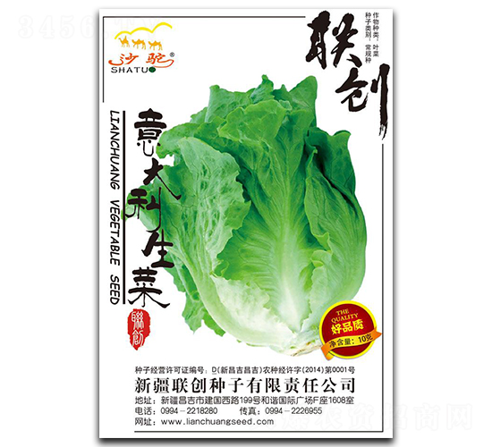 意大利生菜-生菜種子-聯(lián)創(chuàng)