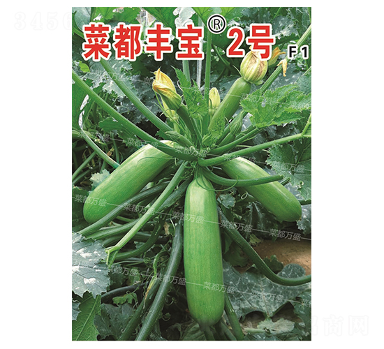 菜都豐寶2號(hào)-西葫蘆種子-菜都萬(wàn)盛