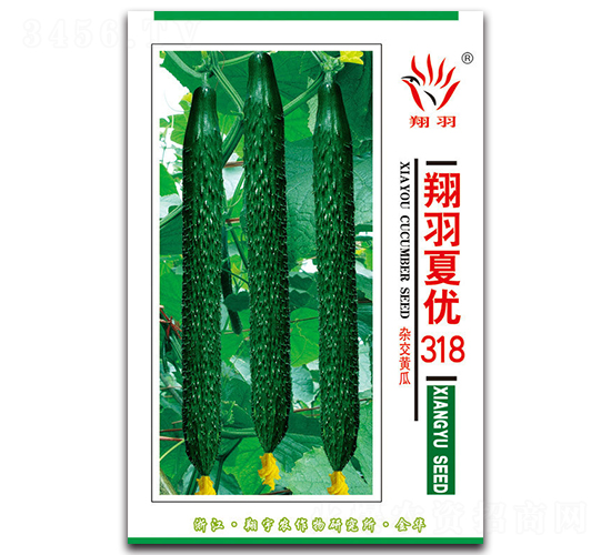 翔羽夏優(yōu)318-黃瓜種子-京密種業(yè)