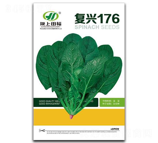 復(fù)興176-菠菜種子-田福農(nóng)業(yè)