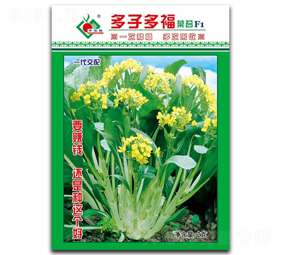 多子多福菜苔F1-菜心種子-豐裕農(nóng)業(yè)