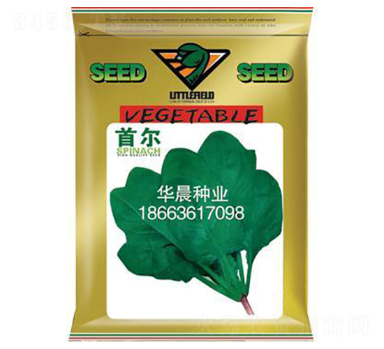 首爾-菠菜種子-華晨種業(yè)