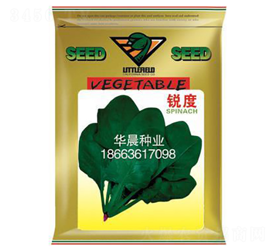 銳度-菠菜種子-華晨種業(yè)