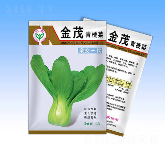 金茂-青梗菜種子-天龍種業(yè)