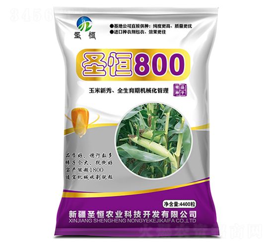 圣恒800-春淼種業(yè)