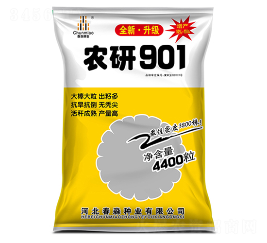 農(nóng)研901-春淼種業(yè)