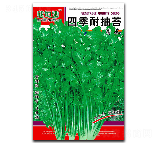 四季耐抽苔-香菜種子-恒馳種業(yè)