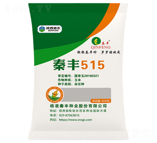 秦豐515-玉米種子