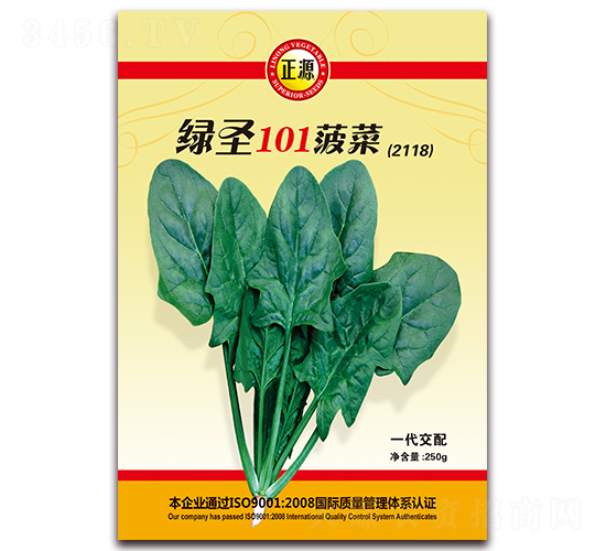 綠圣101菠菜（2118）-菠菜種子-和利農(nóng)