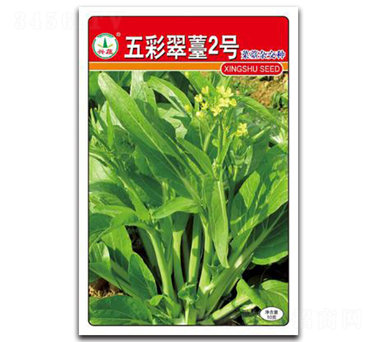 五彩翠苔2號-菜苔種子-興蔬種業(yè)