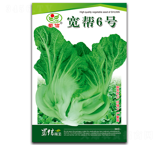 寬幫6號-青菜種子-蜀信種業(yè)