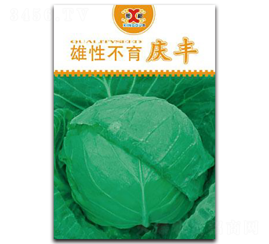 雄性不育慶豐-甘藍(lán)種子-邢研種業(yè)