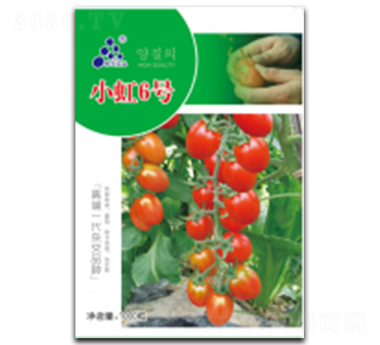 小虹6號(hào)-番茄種子-徽大農(nóng)業(yè)