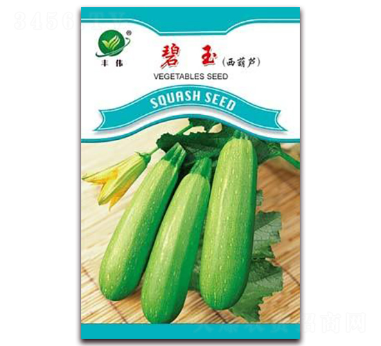 碧玉-菜用西葫蘆種子-金鵬種業(yè)