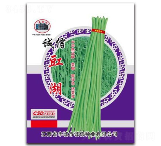 誠信豇湖-豇豆種子-誠信種業(yè)