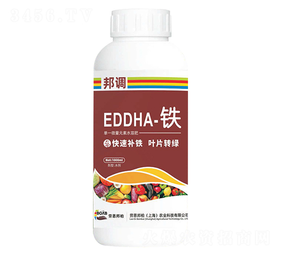 EDDHAF-{(dio)-ڶ