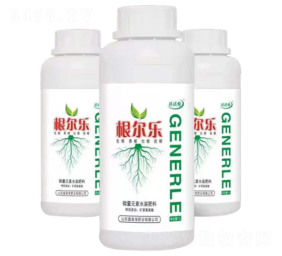 根爾樂-琪琪格-嘉森寶