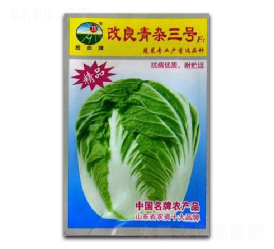 改良青雜三號F1-白菜種子-膠白