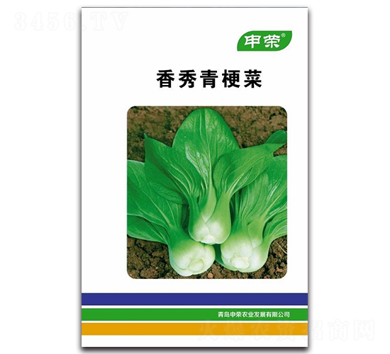 香秀青梗菜-青梗菜種子-申榮農(nóng)業(yè)