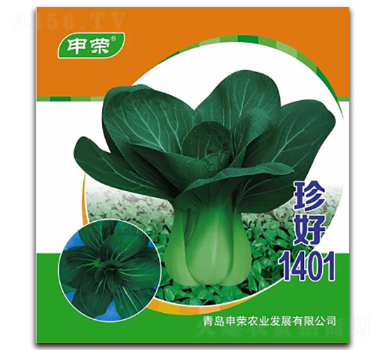 珍好1401-青梗菜種子-申榮農(nóng)業(yè)