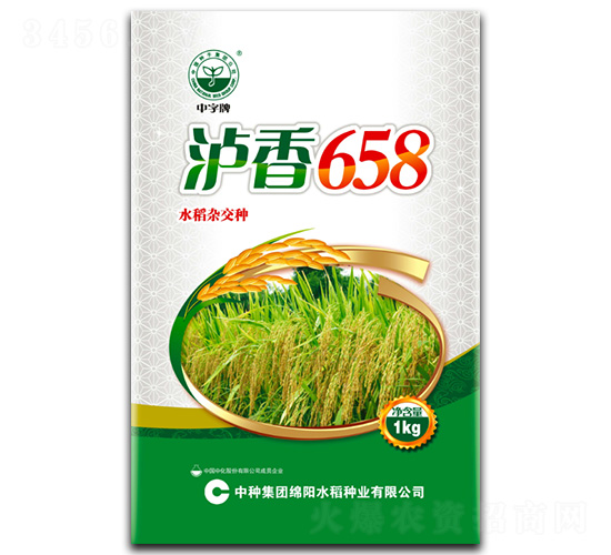 瀘香658-水稻種子-中種集團(tuán)