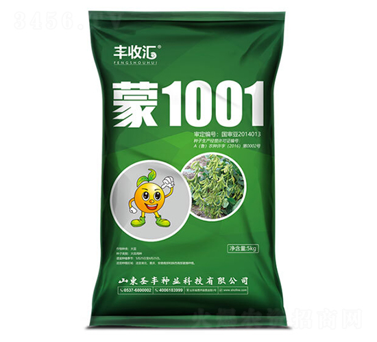 蒙1001-大豆種子-圣豐種業(yè)