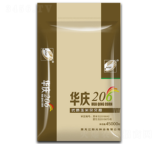 華慶206-玉米種子-龍科種業(yè)