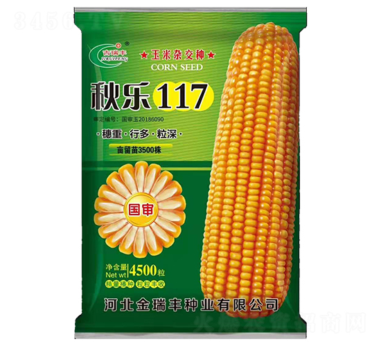 國審秋樂117-玉米種子-金瑞豐種業(yè)