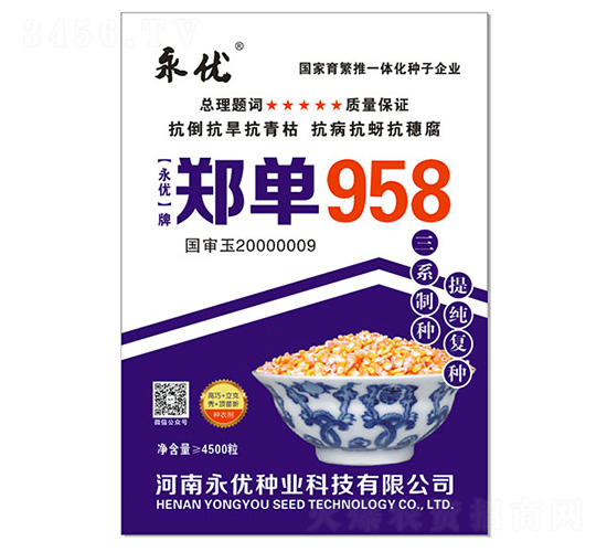 鄭單958（4500粒）-玉米種子-永優(yōu)種業(yè)