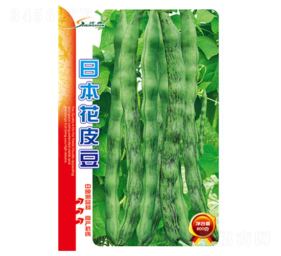 日本花皮豆-架豆種子-豐華種業(yè)