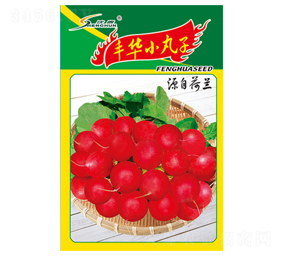 豐華小丸子（源自荷蘭）-蘿卜種子-豐華種業(yè)