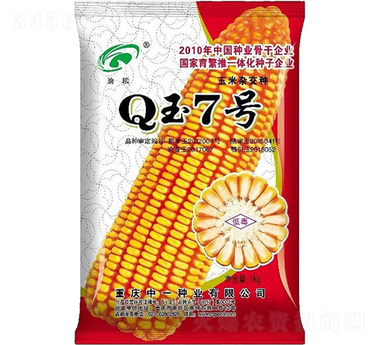 Q玉7號-玉米種子-神農(nóng)科技