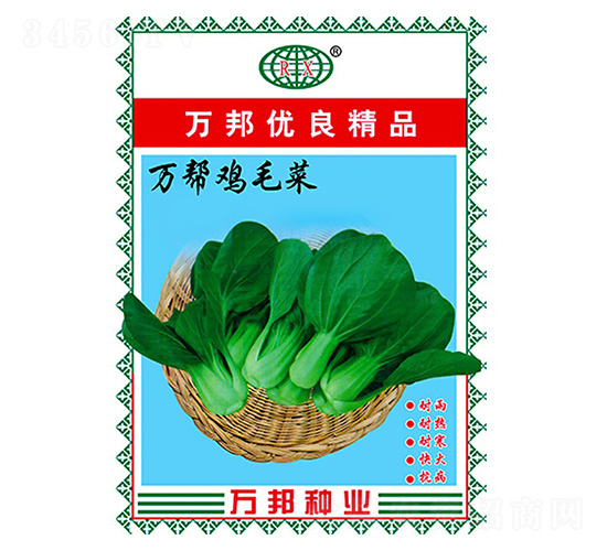 萬幫雞毛菜青梗菜種子-萬邦種業(yè)