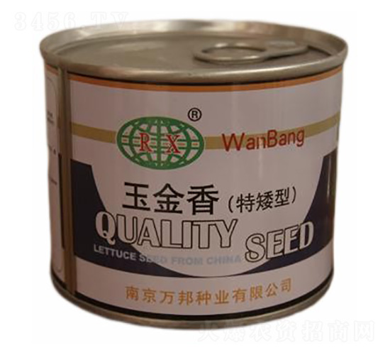 玉金香烏塌菜（特矮型）-烏塌菜種子-萬(wàn)邦種業(yè)